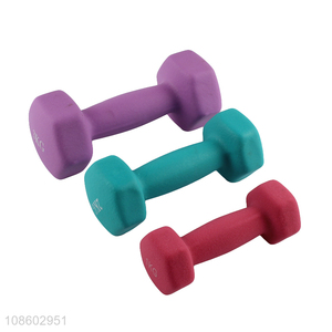 Wholesale colorful 1kg dumbbell coated plastic cast iron dumbbell for women