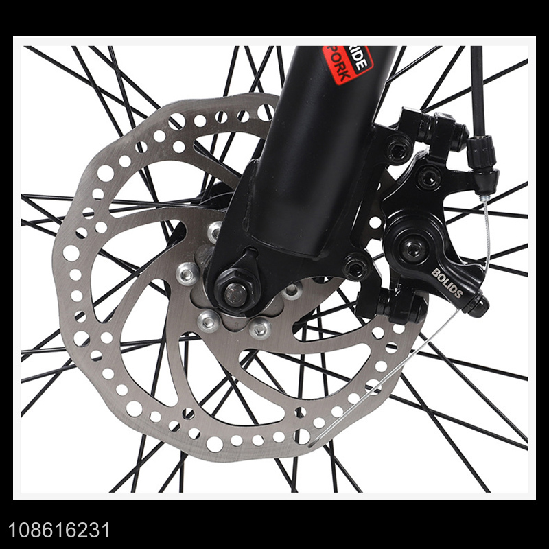 Wholesale 36V 8A 250W anti-slip dual-disc brake lithium battery mountain bike