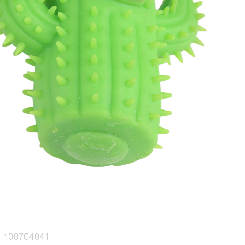 Good quality plant squeeze toys tpr cactus toy for sale