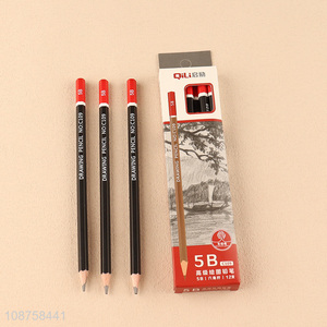 China Supplier 12 Pieces 5B Graphite Sketch Pencils for Artists