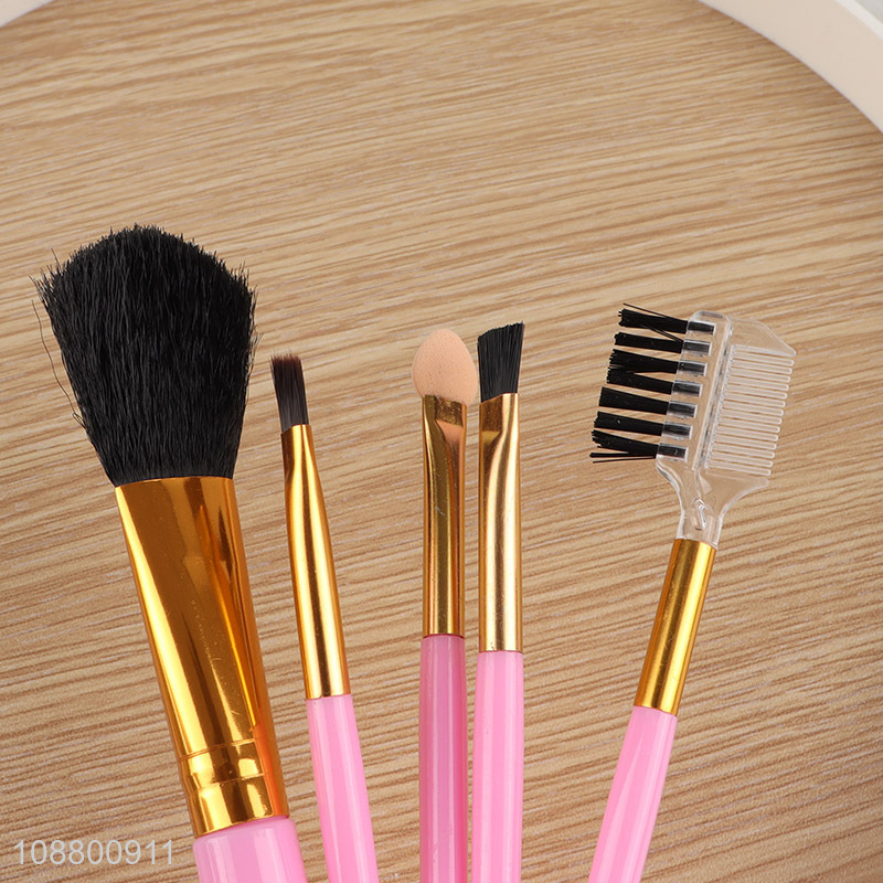 Good quality makeup tool 5pcs makeup brush set