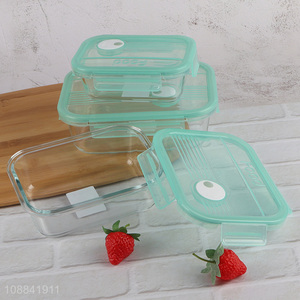 Hot items rectangle glass preservation box food storage box