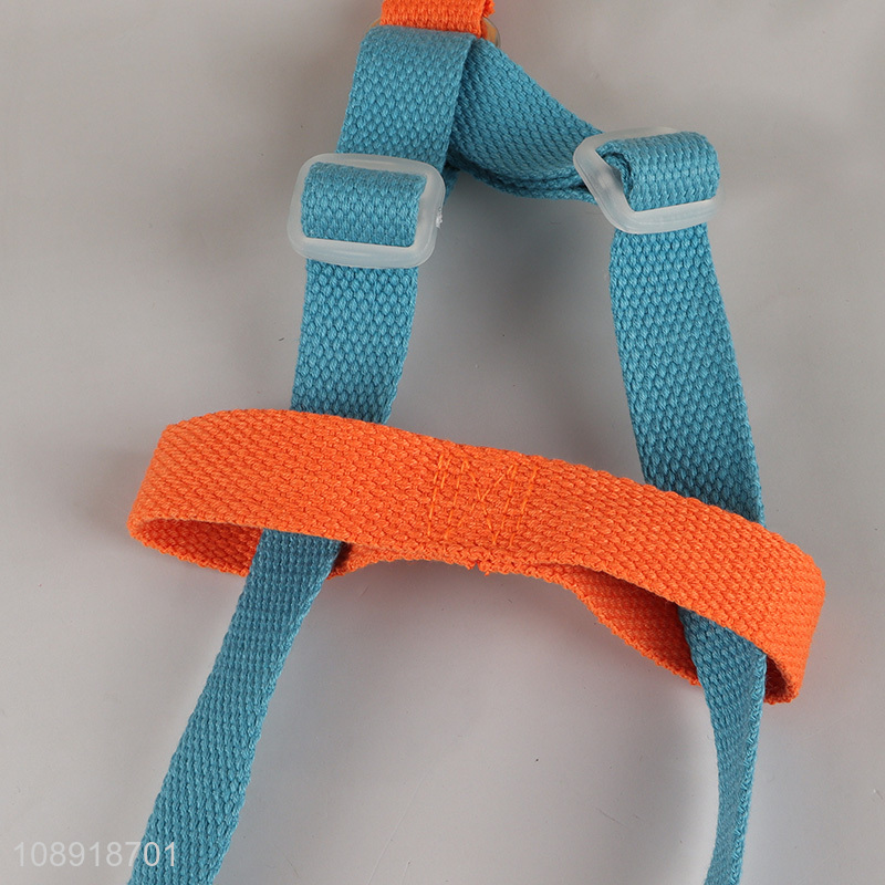 New Arrival Fashionable Dog Harness for Small Dogs Cats