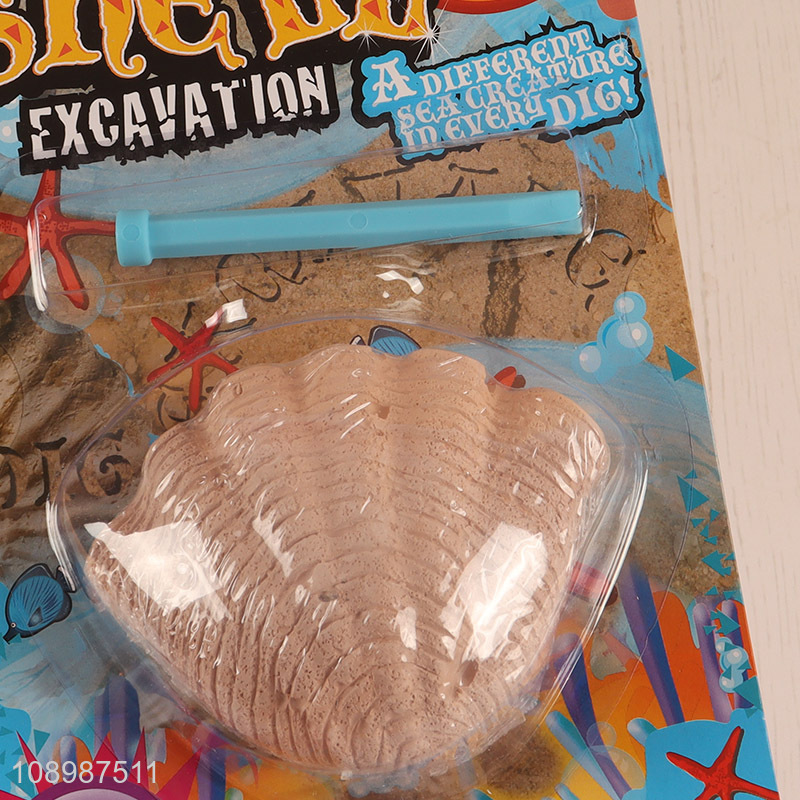 Wholesale Seashell Excavation Ocean Animals Dig Kit Educational Gift for Kids