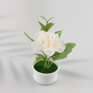 New arrival natural plastic artificial potted plant for home decor