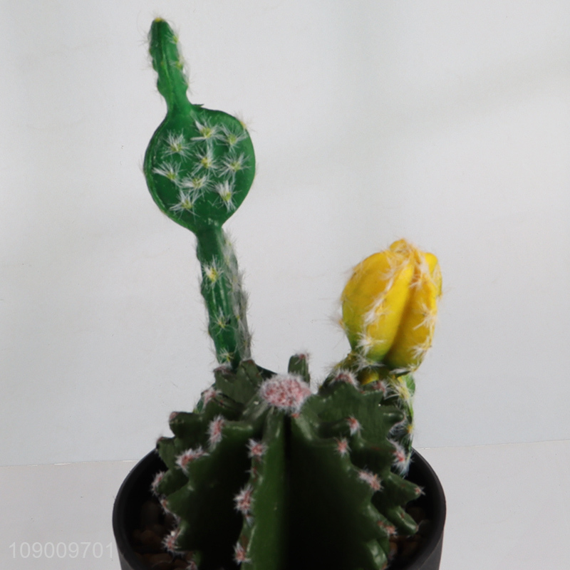 Factory direct sale natural artificial potted cactus for home office decor