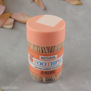 China Imports 300 Count Eco-Friendly Natural Bamboo Toothpicks for Home