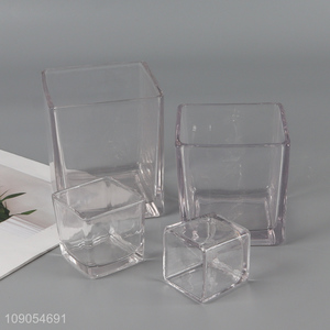 New arrival home decor clear glass hydroponic vase flower vase for gifts