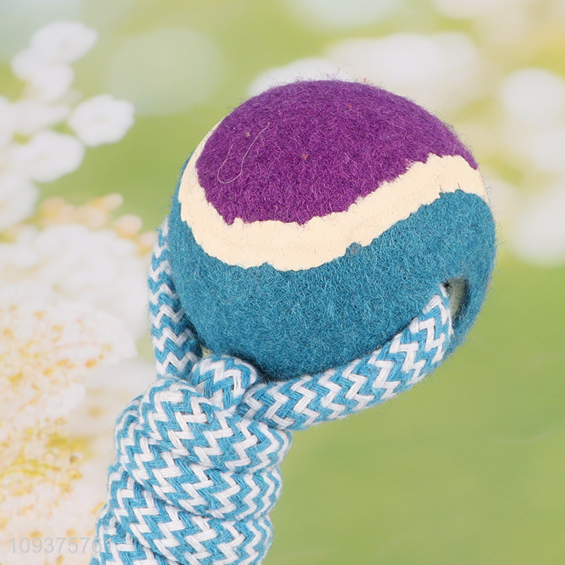 Good price pet teething toys chew toys interactive toys