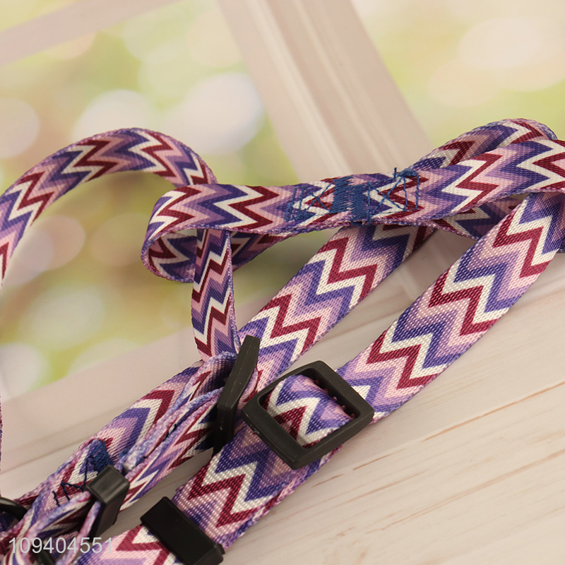 Factory supply dog harness and leash set for outdoor