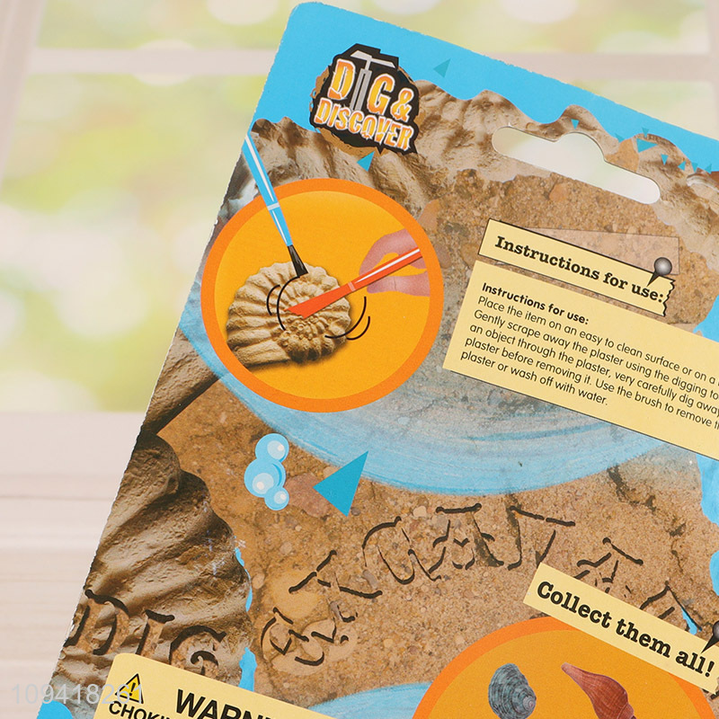 Good Price Sea Shell Excavation Kit Digging Toy