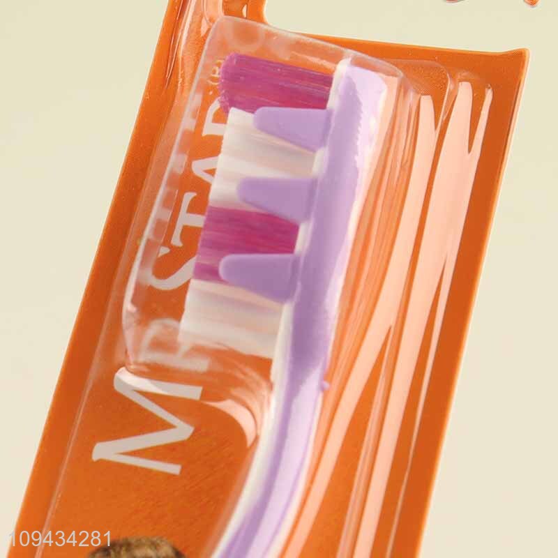 Cost-Effective Adults Dental Hygiene Toothbrush