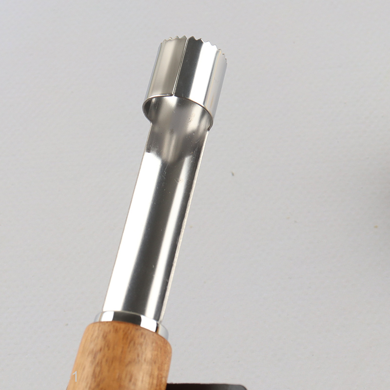 Top products kitchen gadget fruits corer for sale